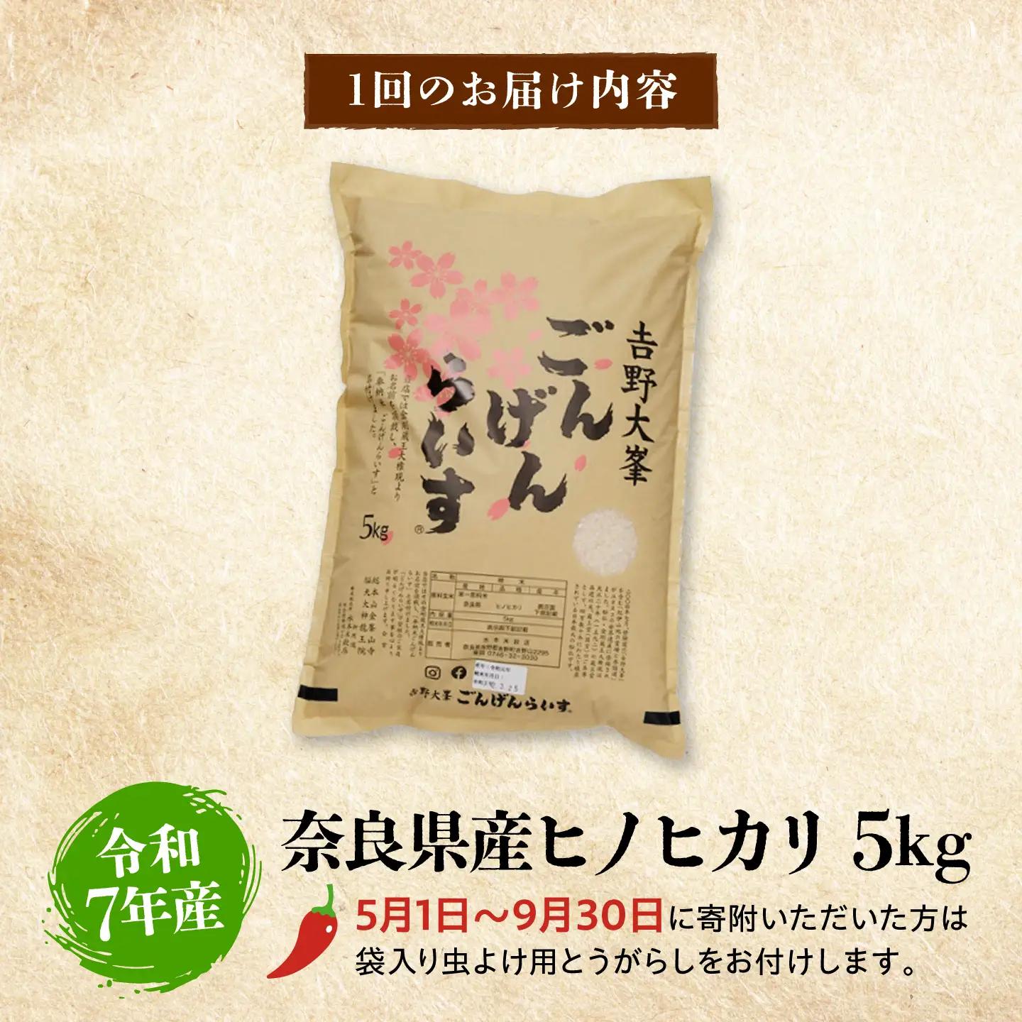 白米【全12回】ひのひかり 5kg [BRAW059]