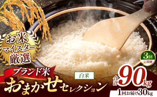 【 令和7年産 】おまかせ セレクション 【定期便3回】熊本県産 白米  ＜ひのひかり / 森のくまさん / くまさんの輝き ＞ 30kg  | 単一銘柄 米 単一米 お米 こめ 小分け 人気 コメ お米 5kg 10kg 15kg 20kg 25kg 30kg 定期便 3回 6回 12回 ブランド米 菊池川流域 家庭用 送料無料 熊本 くまもと 熊本県 和水 和水町 人気 ごはん