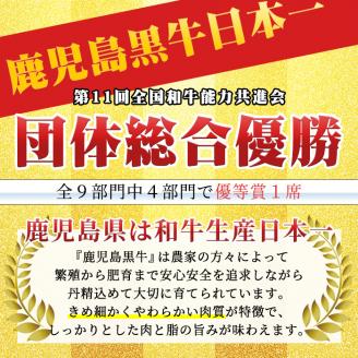 a499 【数量限定】D2901 鹿児島黒牛・黒豚しゃぶしゃぶセット(合計約900g)鹿児島県産黒毛和牛でも最高ランク5等級のみのカタロース肉！＜D-2901＞【あいら農業協同組合】