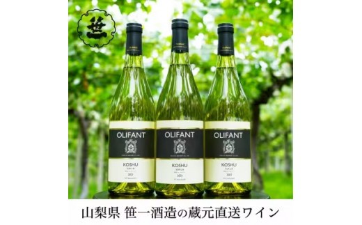 
                  【蔵元直送】笹一酒造のOLIFANT(オリファン)ワイン＜白＞甲州3本セット
                