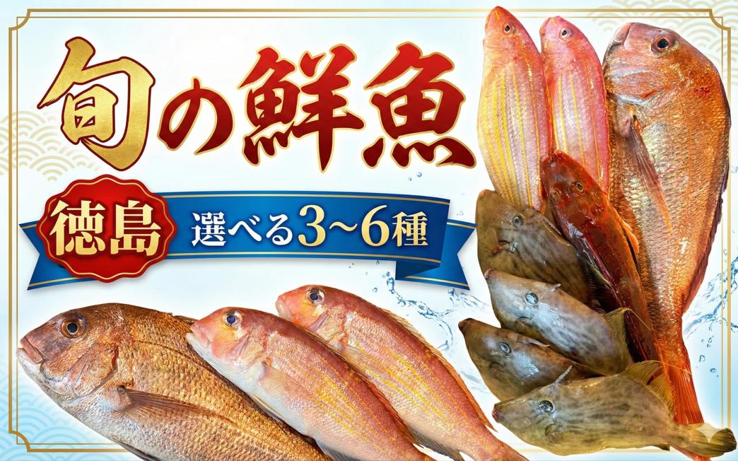 
                  旬の鮮魚セット 選べる 2kg以上 3～6種 おまかせ 鮮魚ボックス 詰め合わせ 刺身 刺し身 海鮮 アジ カツオ ヒラメ 鯛 新鮮 下処理済み 冷蔵 父の日 徳島 馬地鮮魚 
                