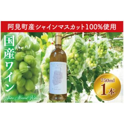 ふるさと納税 阿見町 【数量限定】2022 シャインマスカット100%国産ワイン(07-04)