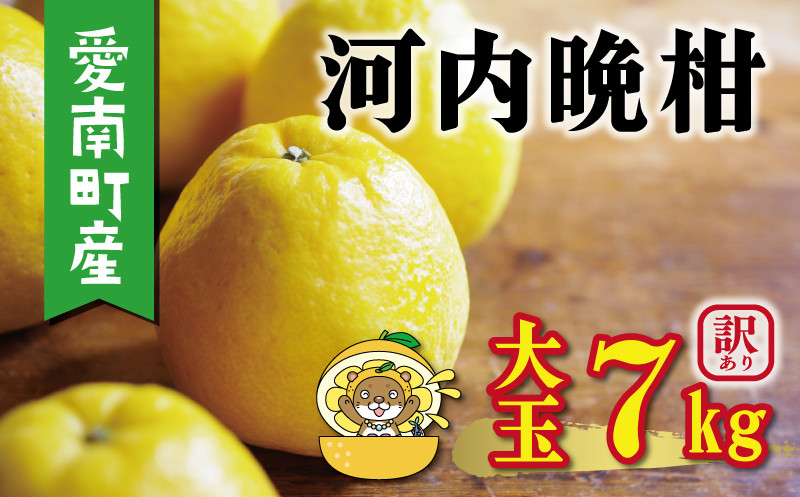 
                  【先行予約：2027年4月上旬～発送】訳あり 河内晩柑 大玉 7kg +傷み保証1kg 8000円 みかん かわちばんかん わけあり 愛南ゴールド あいなん ゴールド 美生柑 文旦 グレープフルーツ 和製 家庭用 産地直送 国産 農家直送 期間限定 数量限定 特産品 ゼリー ジュース 人気 限定 さわやか 甘い フルーツ 果物 柑橘 蜜柑 規格外 塚岡農園 愛南町 愛媛県
                
