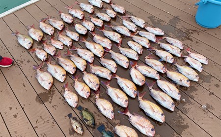 瀬戸内海 家島近郊船釣り体験（遊漁船で8時間釣り三昧1名様） 体験チケット 美しい魚 大物 オフショアゲーム 初心者 レクチャー キャッチ 興奮 感動 思い出 