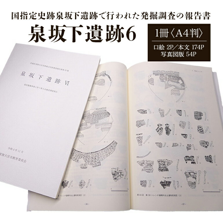 【ふるさと納税】泉坂下遺跡6 1冊 弥生時代 報告書 考古学 遺跡 発掘 調査報告書 歴史 資料 発掘調査 茨城県 送料無料 【常陸大宮市教育委員会事務局文化スポーツ課】 【ho1314】