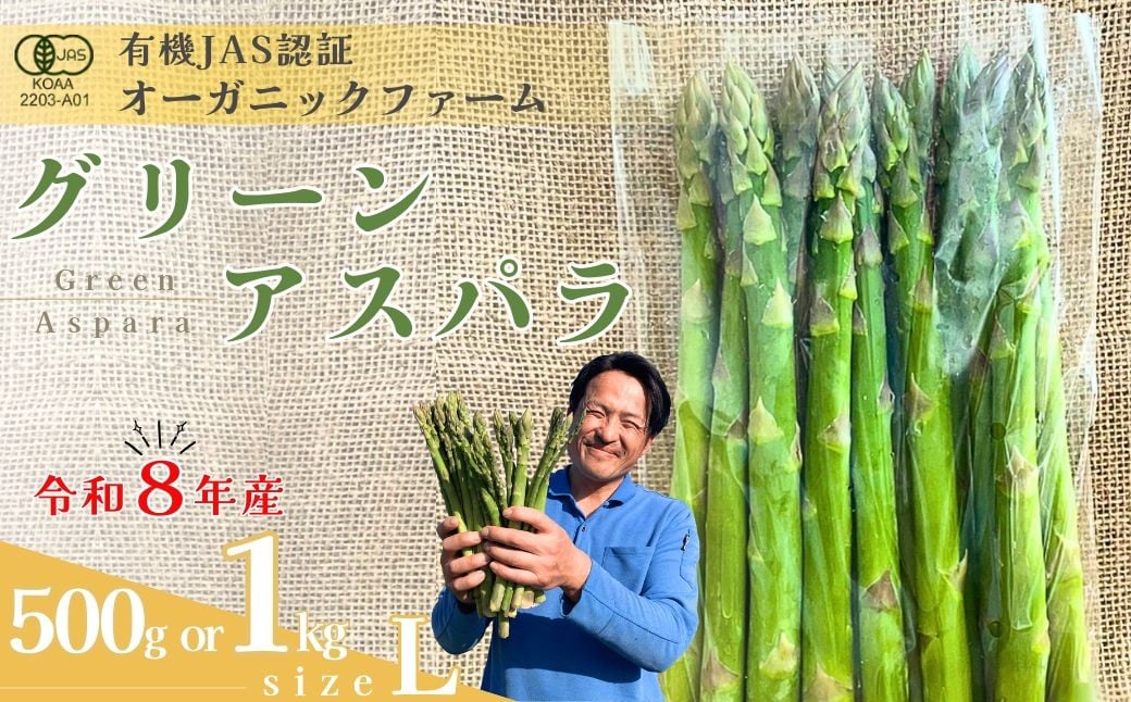 
            アスパラガス 【先行予約】オーガニック グリーンアスパラガス  L 500g or 1kg 【アスパラガス あすぱらがす アスパラ あすぱら アスパラがす あすぱらガス オーガニックアスパラ 有機JAS認証 グリーンアスパラ Lサイズ 新鮮野菜 産地直送 500g 1kg 春野菜 自然栽培 循環型農法  甘いアスパラガス 香り豊か 太陽の恵み 大地の恵み 野菜ギフト 旬の野菜 お取り寄せ野菜】
          