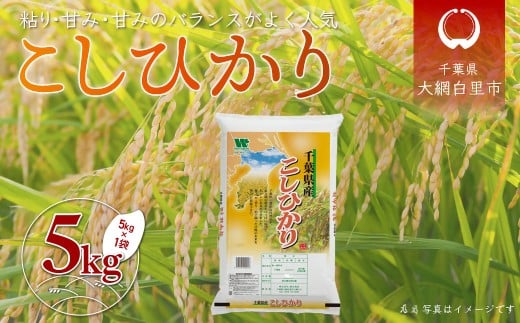 令和6年産 千葉県産「コシヒカリ」5kg（5kg×1袋） お米 5kg 千葉県産 大網白里市 コシヒカリ 米 精米 こめ 送料無料 A054