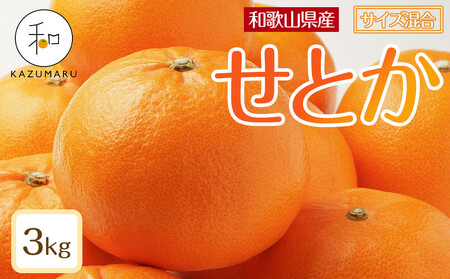 〈2026年2月上旬から順次発送予定〉せとか 約3kg せとかみかん［RN130］