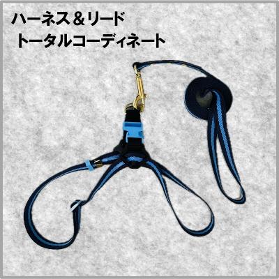 ふるさと納税 荒川区 トイプードル向けハーネス&リード(カラー:紺青紺)【001-018-3】 |  | 01