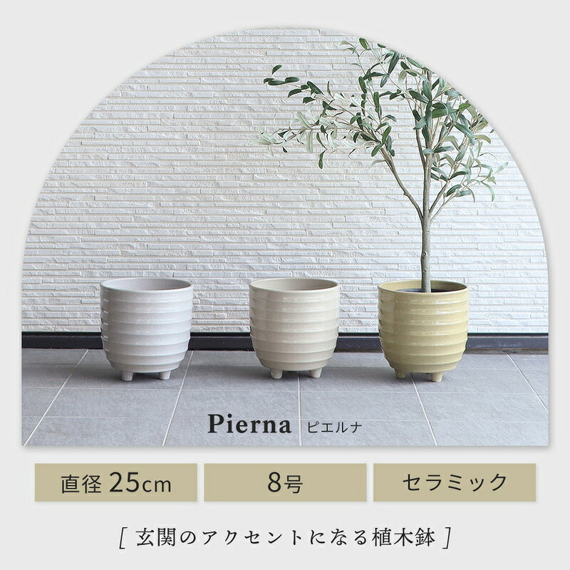 【ふるさと納税】脚付き植木鉢 φ25 Pierna(ピエルナ) 植木鉢 フラワーポット 観葉植物 グリーン 8号 プランター 中型 脚付き 屋内 屋外 丸 円柱 鉢カバー インテリア おしゃれ 穴あり 寄せ植え 植え替え セラミック 25cm ガーデニング Pierna ピエルナ 兵庫 兵庫県 小野市