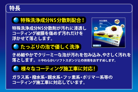 ジャンボメンテナンスシャンプー オールカラー用 2本　カー用品 洗車用品 シャンプー 