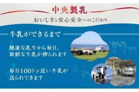 中央製乳 のんほい牛乳 1年 定期便 1L 6本 計6L 