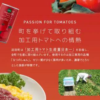 【定期便】契約農家が露地栽培した完熟トマトケチャップ（320g瓶×2本×6ヶ月）保存料 無添加 国産 北海道産 n-0222	
