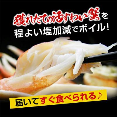 ふるさと納税 大洗町 ボイル 本ズワイガニ足 3kg |  | 01