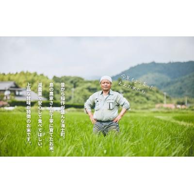 ふるさと納税 海士町 島のブランド米「本氣米」3kg(きぬむすめ) |  | 01