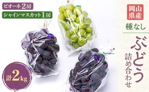 
岡山県産のぶどう詰め合わせ2kg(シャインマスカット1房とピオーネ2房)【1112964】
