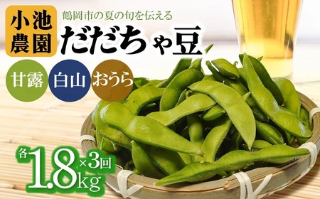 【令和8年産先行予約】【3回定期便】【鶴岡の夏の旬を伝える】 小池農園のだだちゃ豆 【甘露・白山・おうら】 1.8Kg（600g×3袋）K-832