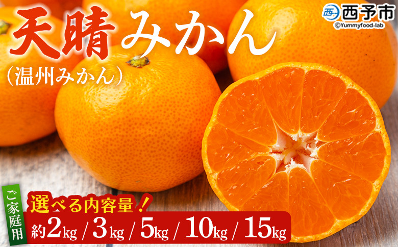 
            先行予約 愛媛県明浜産 天晴みかん（温州みかん）約2kg／3kg／5kg／10kg／15kg　家庭用 訳あり ワケアリ 自宅用 果物 くだもの フルーツ ミカン 柑橘 選べる 食べて応援 特産品 産地直送 愛媛県 西予市【常温】
          