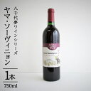 【ふるさと納税】八千代夢ワインシリーズ　ヤマ・ソーヴィニョン（赤ワイン）1本 母の日 父の日