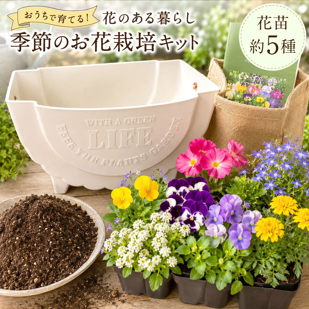 【ふるさと納税】おうちで育てる花のある暮らし 季節のお花栽培キット（花苗約5種） 季節の花苗（約5種）・花用の培養土（2kg）・栽培説明書 栽培キット お花 花 フラワー 栽培 ガーデニング ガーデニング用品 植物 大阪府 熊取町 送料無料