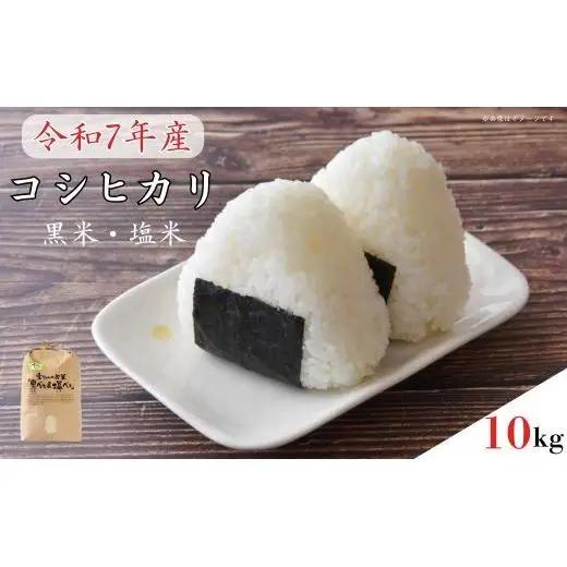 《 令和7年産 》黒米・塩米（コシヒカリ）約10kg ／ お米 米 精米 白米 コシヒカリ こしひかり 10kg 令和7年 千葉県