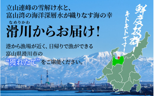 【順次配送中】ボイル紅ズワイガニ 【25年度9月下旬以降順次配送】【川村水産】※発送前に在宅確認の電話連絡をいたします!　新鮮でみずみずしい甘さがぎゅっと詰まった「富山湾の朝陽」