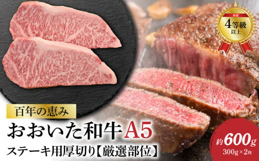 百年の恵み　おおいた和牛A5　ステーキ用厚切り【厳選部位】約600g 牛肉 和牛 ステーキ 厚切り A5 霜降り 厳選部位 ロース サーロイン 肩ロース A01104