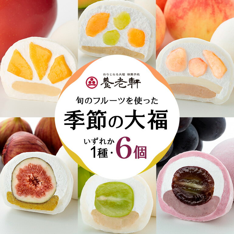 【ふるさと納税】【期間限定】養老軒の季節の大福 6個入（1種類）│お楽しみ 夏 秋 人気 旬 フルーツ ふるーつ スイーツ 大福 和スイーツ おやつ おかし お菓子 和菓子 養老軒 お取り寄せ お取り寄せスイーツ フルーツ大福 季節 果物 岐阜県 川辺町 (996)