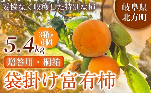 【贈答用・桐箱】先行予約 令和8年12月中旬順次発送 袋掛け 富有柿 ( 6個 ／ 1.8kg ) 3箱 |【お歳暮やご挨拶に選ばれる】 完熟収穫が生む格別な甘み 柿 富有柿 フルーツ 果物 完熟 国産 贈答用 贈り物 手土産 ギフト プレゼント お歳暮 季節の果物 高級 岐阜県 本巣郡 北方町