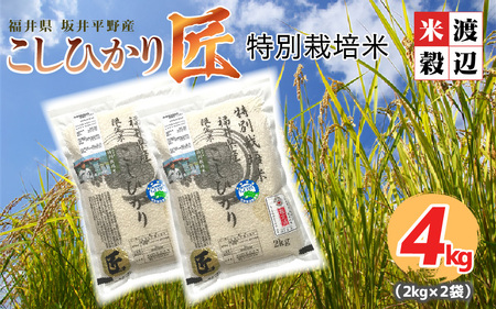 【令和7年産】（白米） 特別栽培米 コシヒカリ匠 4kg (2kg × 2袋) 栽培期間中農薬不使用 / コシヒカリ こしひかり 白米 お米[B-2947_01]