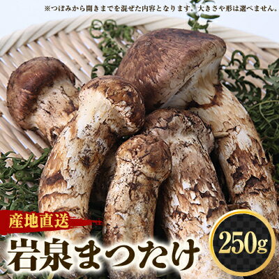 【ふるさと納税】≪産地直送≫　岩泉まつたけ 250g【配送不可地域：離島】【1423712】