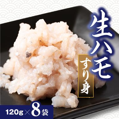 ふるさと納税 南知多町 生ハモすり身真空包装　120g×8袋入り