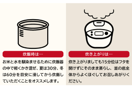 【無洗米】仁多米こしひかり4㎏【無洗米 米 仁多米 2kg 2袋 合計4kg コシヒカリ こしひかり 小分け 便利 お手軽 お米 米 白米 精米 ブランド米 贈り物 プレゼント】