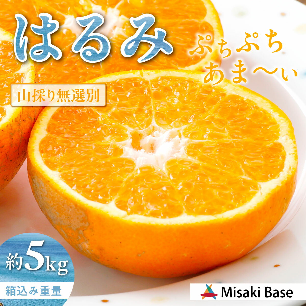 【ふるさと納税】 【先行受付】【数量限定】【山採り無選別】はるみ 5kg ※離島への配送不可（2026年2月より順次発送） 【 ふるさと納税 人気 おすすめ ランキング みかん ミカン 果物 はるみ はるみオレンジ フルーツ 糖度 甘い タンゴール オレンジ 家庭用 】 IKTAB011
