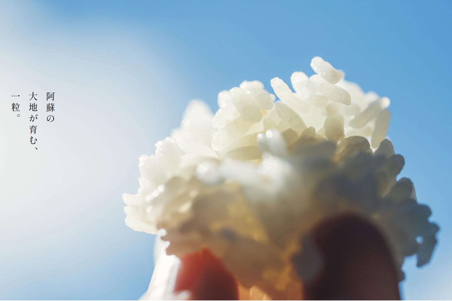 【予約受付】令和8年産・新米 ごんべえ米 5㎏ 予約 令和8年産 新米 白米 玄米 精米 米 お米 玄米対応可能 ご飯 ごはん 無農薬 農薬不使用 産地直送 吉原ごんべえ村 熊本 南小国 送料無料