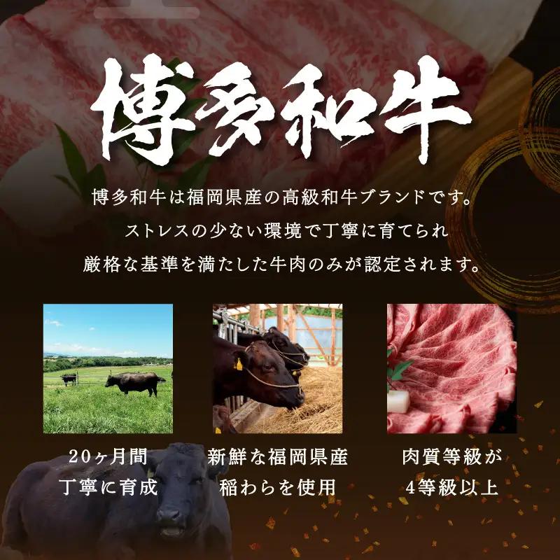 【厳選部位】【A4～A5】博多和牛サーロインしゃぶしゃぶすき焼き用600g（300g×2p）【014-0045】