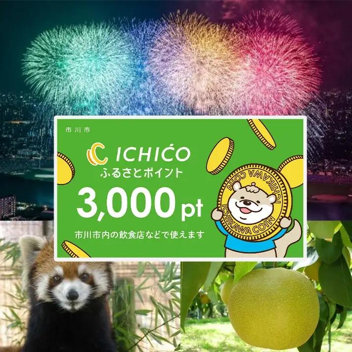 デジタル地域通貨ICHICOふるさとポイント3,000pt【12203-0223】