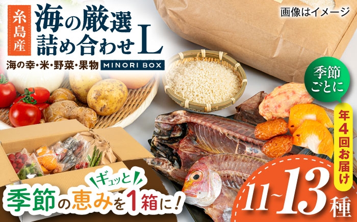 
                  【全4回定期便】 糸島産 魚 米 野菜 果物 厳選詰め合わせ MINORI BOX Lサイズ【季節ごとに年4回お届け】　糸島市 / emma.Inc / 米 魚 野菜 果物 詰め合わせ [AOP006]
                