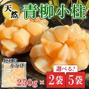 【ふるさと納税】容量 選べる 天然 青柳 小柱 250g×2/5袋 岬だより セット 冷凍 小分け ふるさと納税貝 ふるさと納税魚介 パック 貝柱 人気 おすすめ 愛知県 南知多町 【配送不可地域：離島】