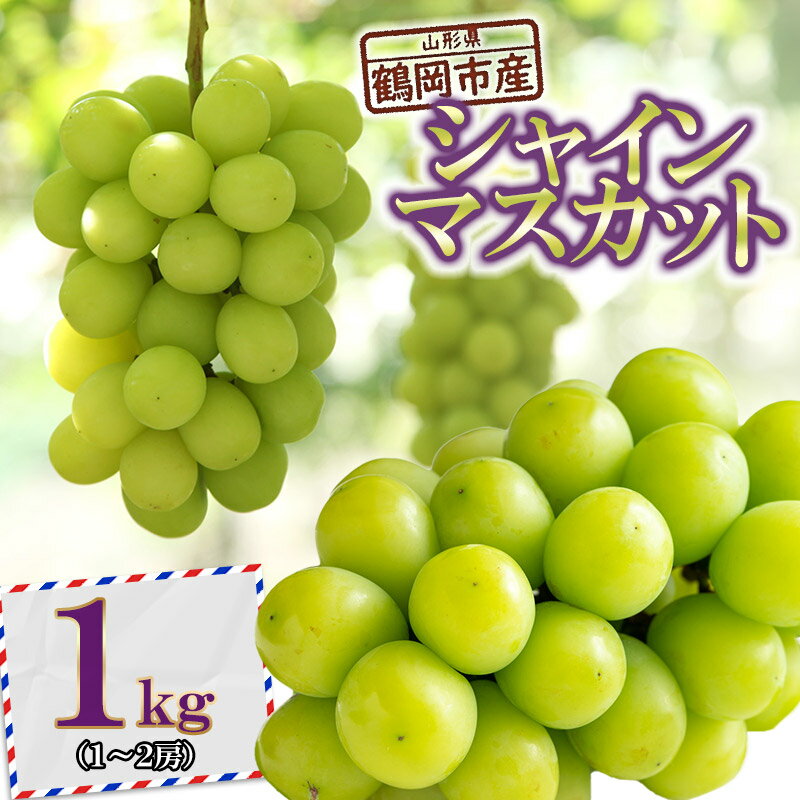 【ふるさと納税】【令和7年産先行予約】鶴岡市産シャインマスカット 約1kg（1〜2房） K-733 | 山形県 鶴岡市 フルーツ 果物 くだもの ぶどう 種なし ブドウ 葡萄 お取り寄せ グルメ 自宅用 家庭用