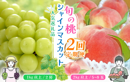 【ふるなび限定】＜25年発送先行予約＞山梨県産フルーツ定期便 旬の果物2回送り 旬の桃とシャインマスカット定期便  FN-Limited 180-006 | フルーツ定期便 おすすめフルーツ 厳選フルーツ フルーツ定期 シャインマスカット定期便 |