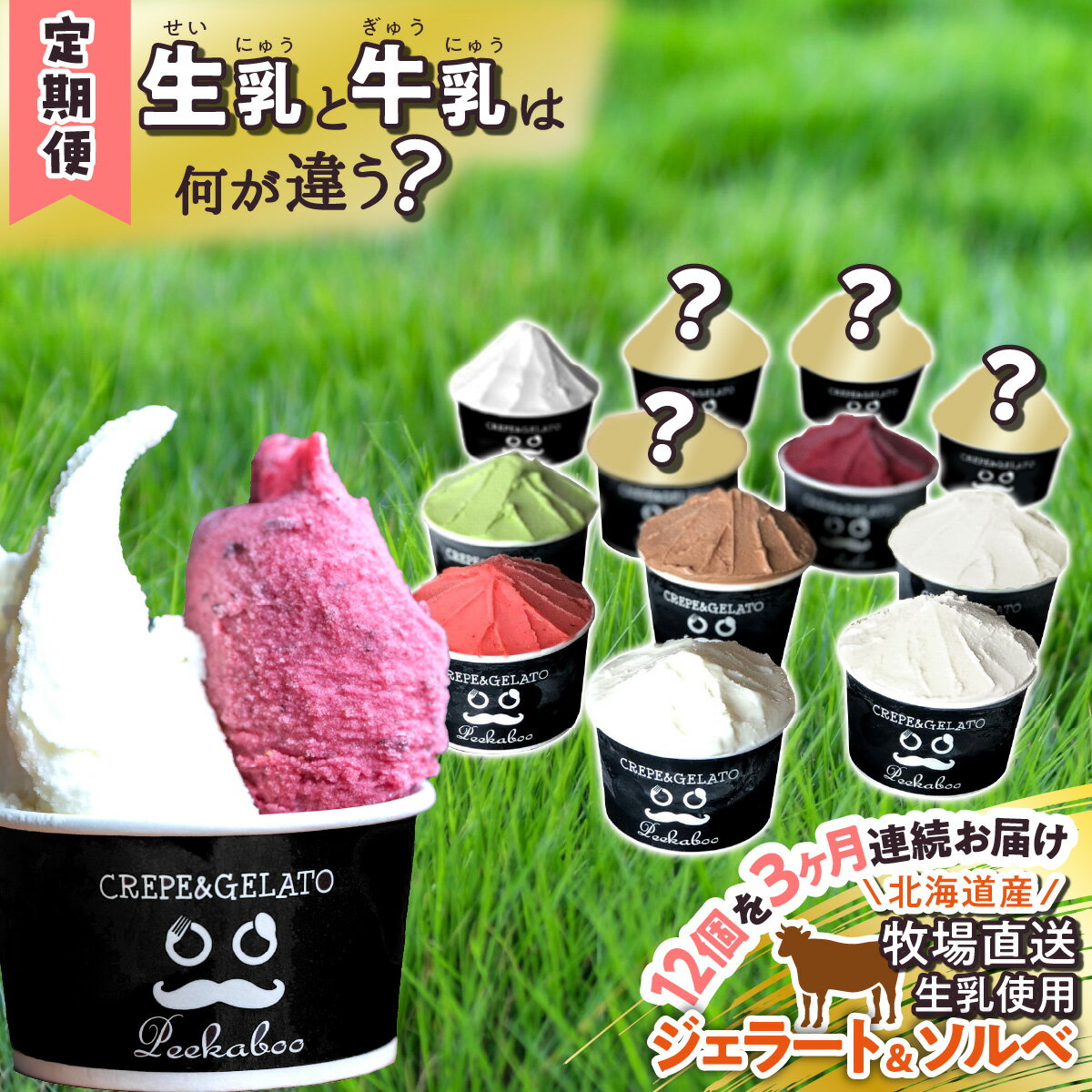 【ふるさと納税】 ＜3ヶ月定期便＞ アイス ジェラート ソルベ 毎月 12個 北海道産 生乳 ジェラートセット スイーツ ミルク カップアイス カップ 詰め合わせ 冷凍 北海道 新ひだか町