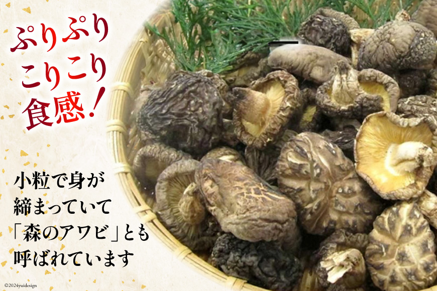 訳あり しいたけ 宮崎県産 乾燥 椎茸 芽どんこ 120g ×3p 計 360g チャック袋入 [岡田商店 宮崎県 美郷町 31ac0064] 小分け 乾燥椎茸 乾燥しいたけ どんこ_イメージ3