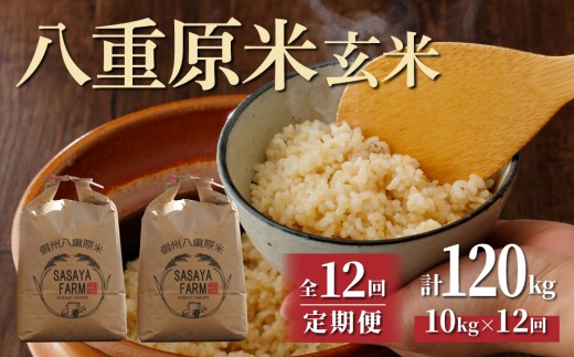 令和8年新米予約【12回定期便】八重原米10kg（5kg×2袋）玄米　※2026年10月以降順次発送｜笹屋農園「農薬削減長野県認証取得」 特A米 コシヒカリ