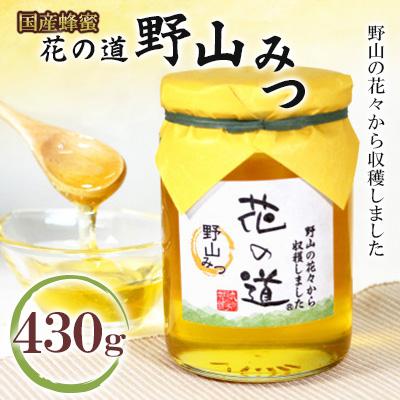 ふるさと納税 八女市 野山みつ　430g