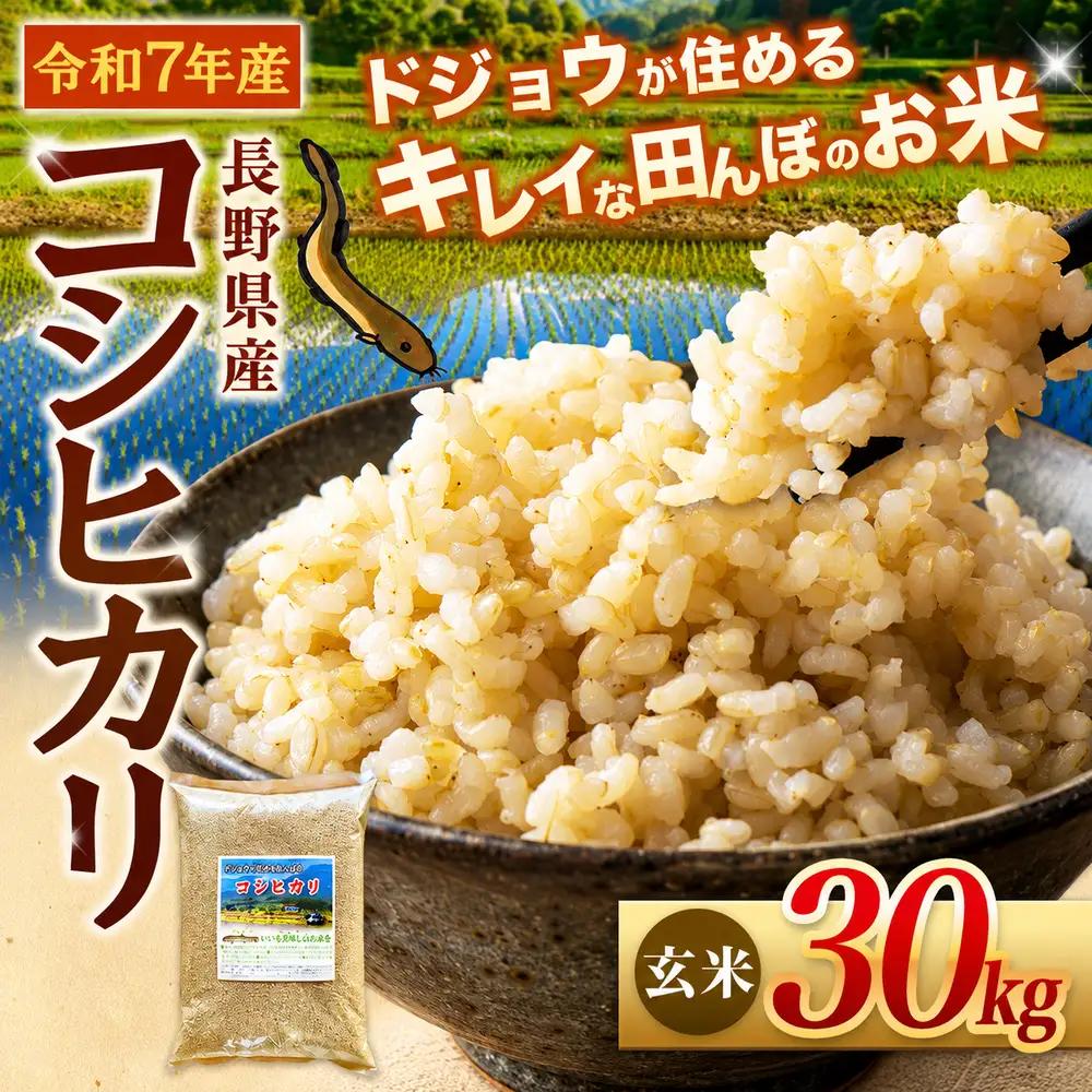 『どじょうのいる田んぼのお米』コシヒカリ 玄米 30kg | 馬場農園