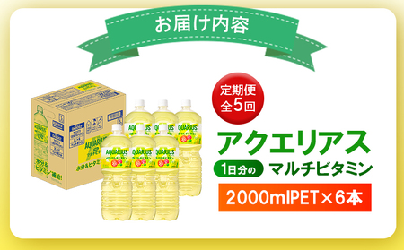 【定期便：全5回】アクエリアス 1日分のマルチビタミン　2LPET×6本【380089】