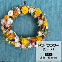 【ふるさと納税】ドライフラワー リース プレゼント 誕生日 お祝い インテリア フラワーリース おしゃれ ナチュラル お花 ギフト 壁飾り 女性 ドライフラワー（リース）