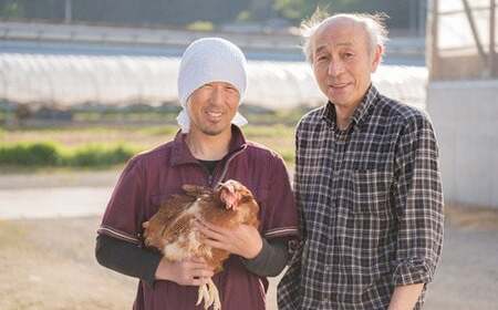眠れる森のたまご　朝採れ卵60個   たまご タマゴ 卵 鶏卵 濃厚 こだわり 新鮮　【04301-0792】