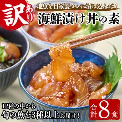 ふるさと納税 佐伯市 <訳あり>地魚海鮮漬け丼の素 (計8食)